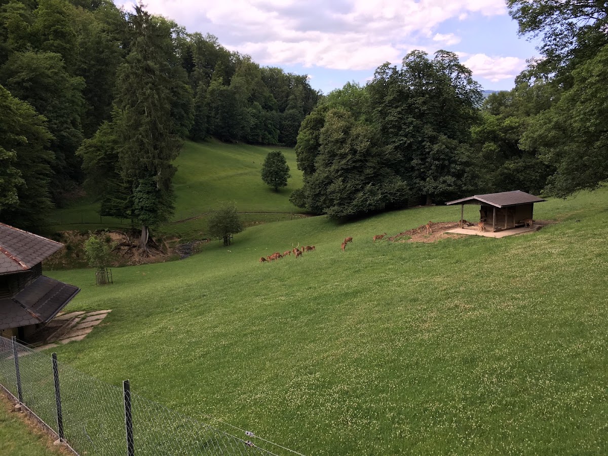 Wildpark Roggenhausen Aarau