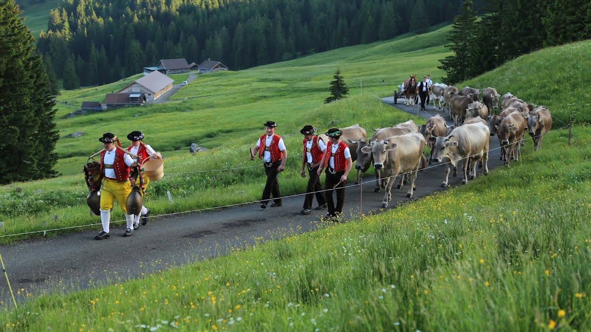 Appenzeller Brauchtumsmuseum