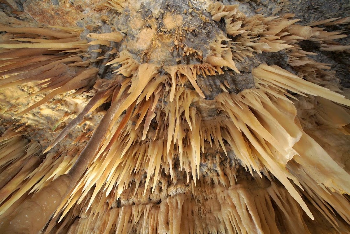 Castellana-Höhlen (Grotte di Castellana)