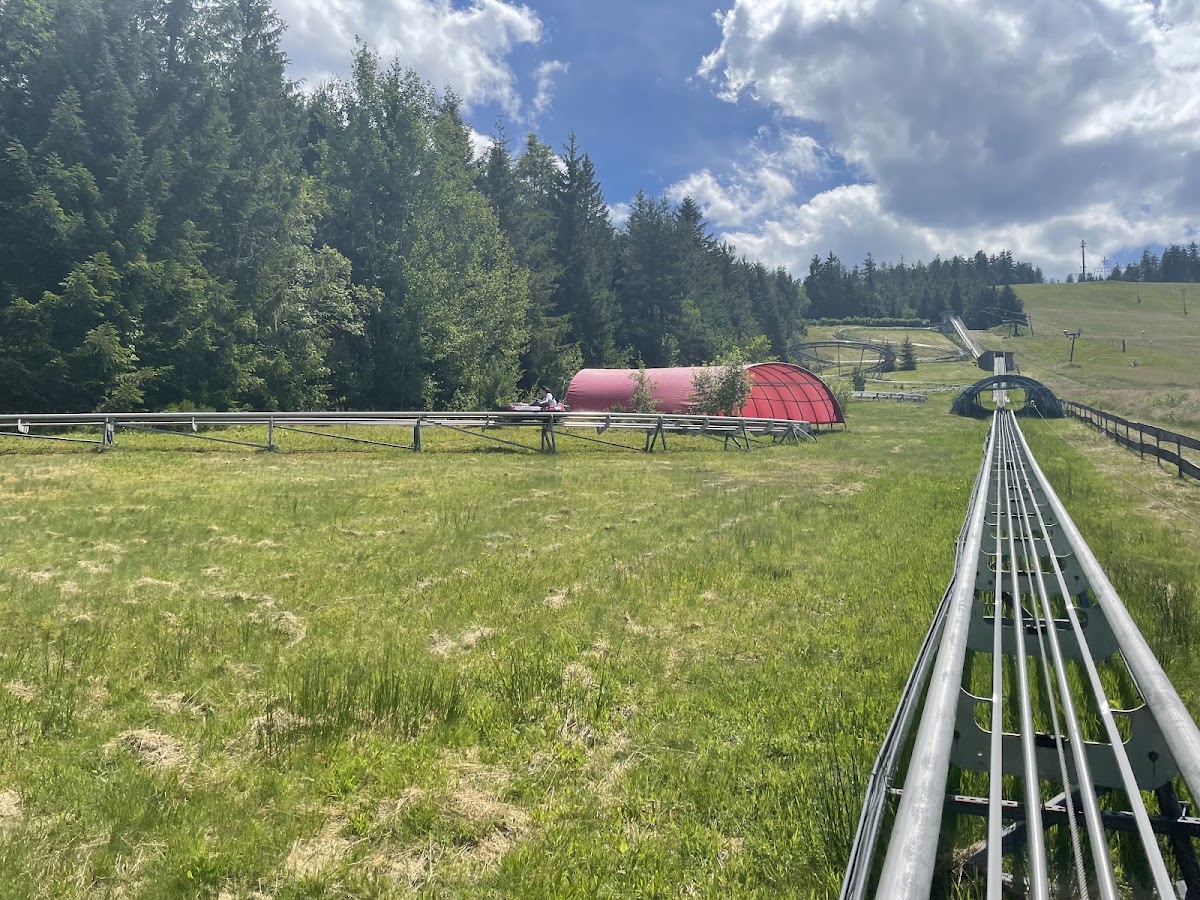Mehliskopf Bobbahn