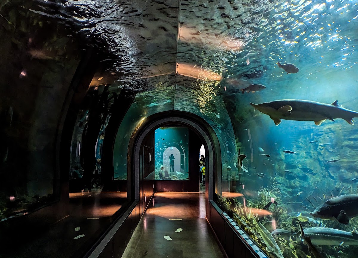 Tiergarten Ulm