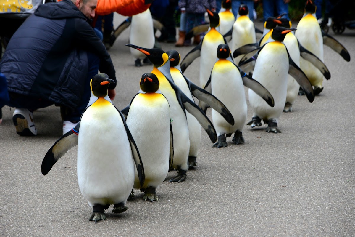 Zoo Basel