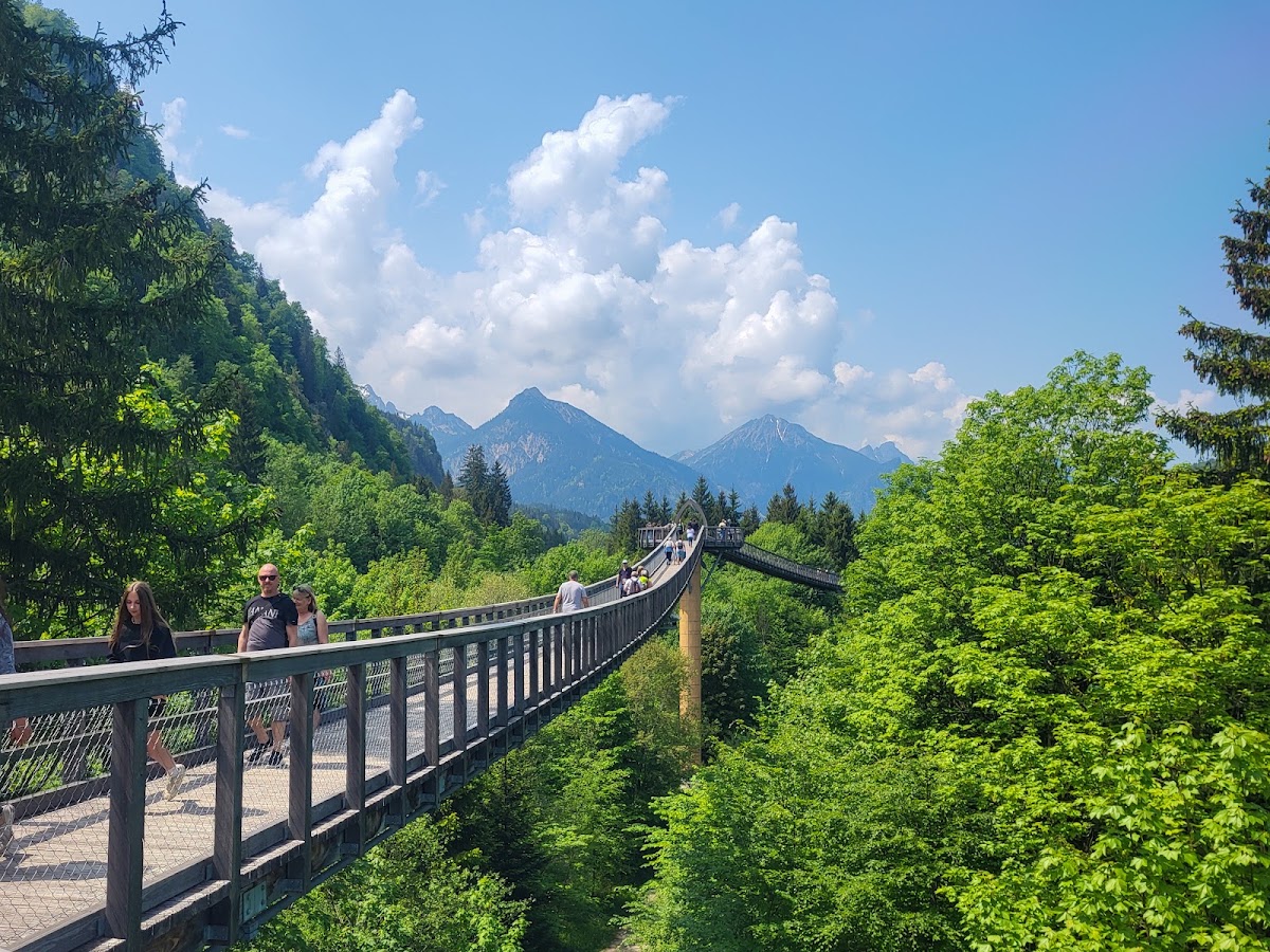 Baumkronenweg Ziegelwies
