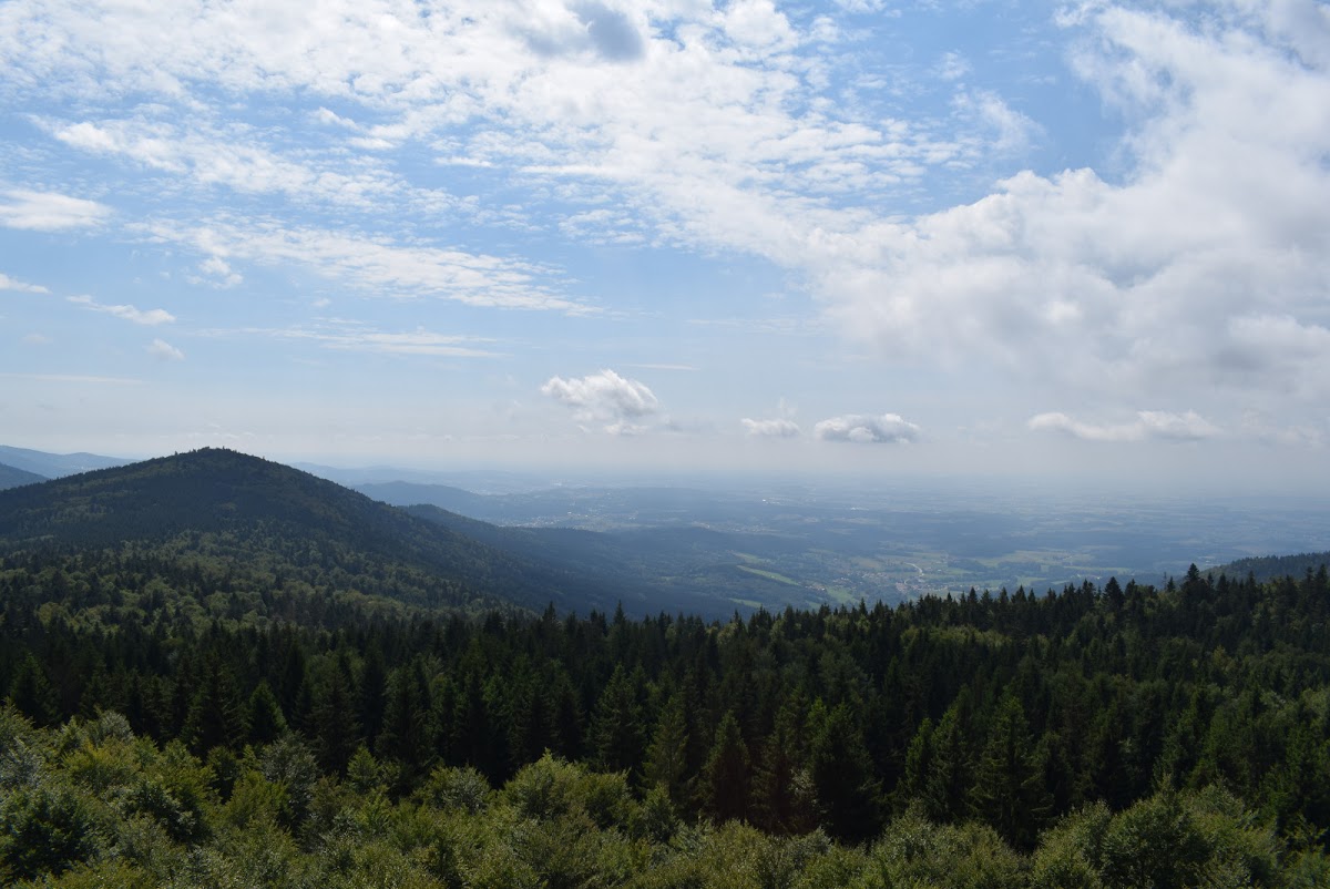 Über den Mühlgraben zum Hirschenstein und zurück