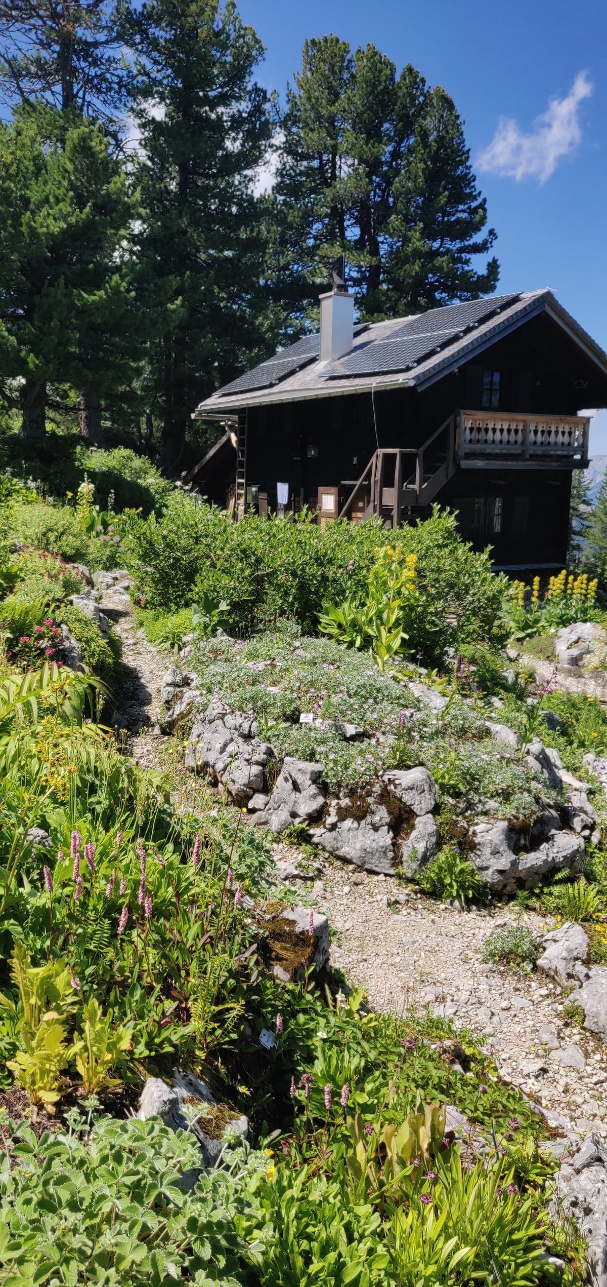 Alpengarten am Schachen