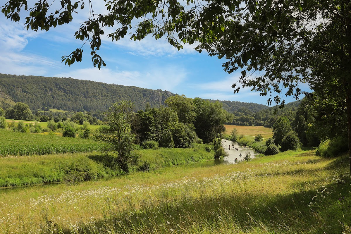 Altmühlaltwasser bei Inching