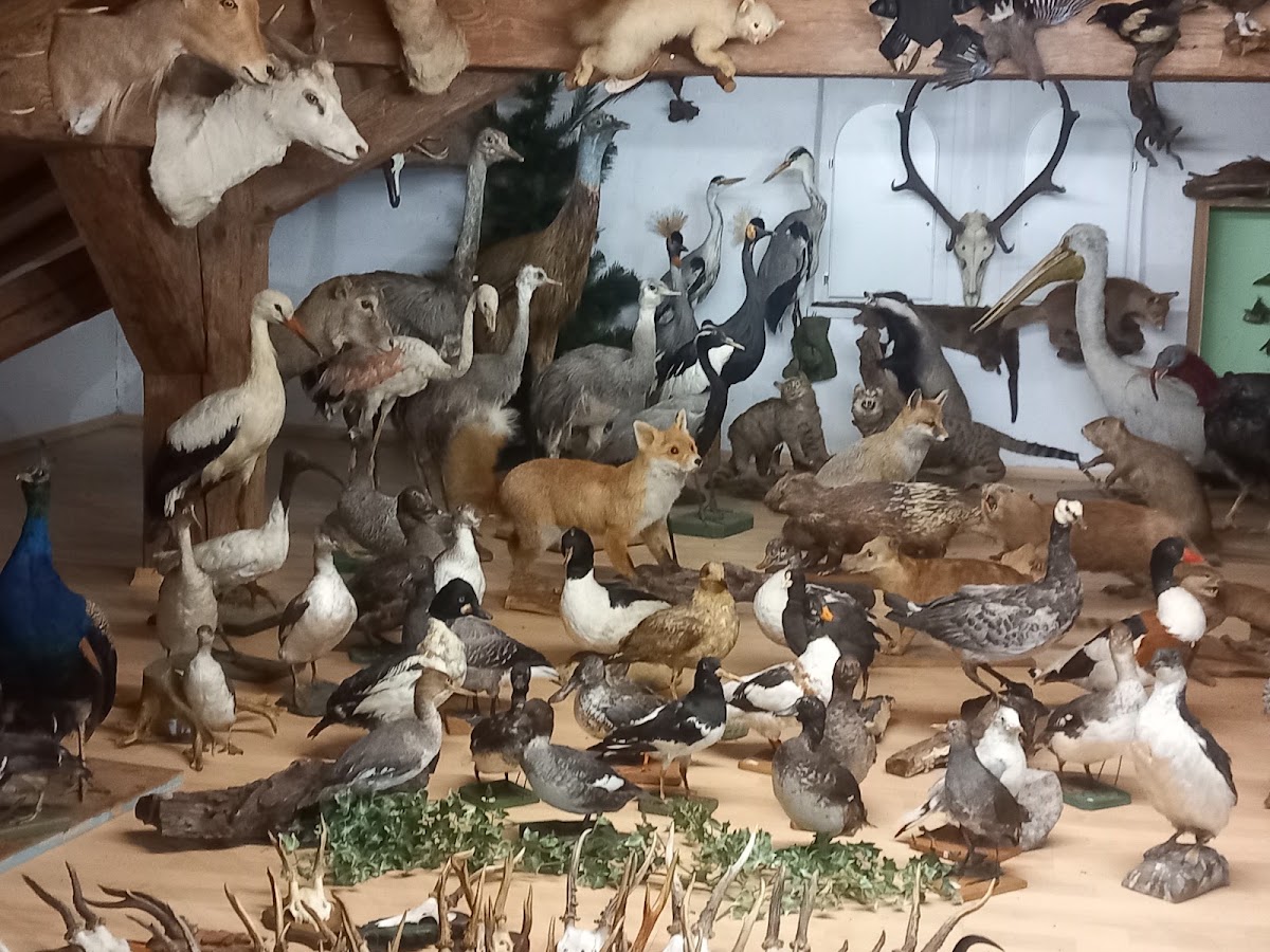 Altmühltaler Tiererlebniswelt