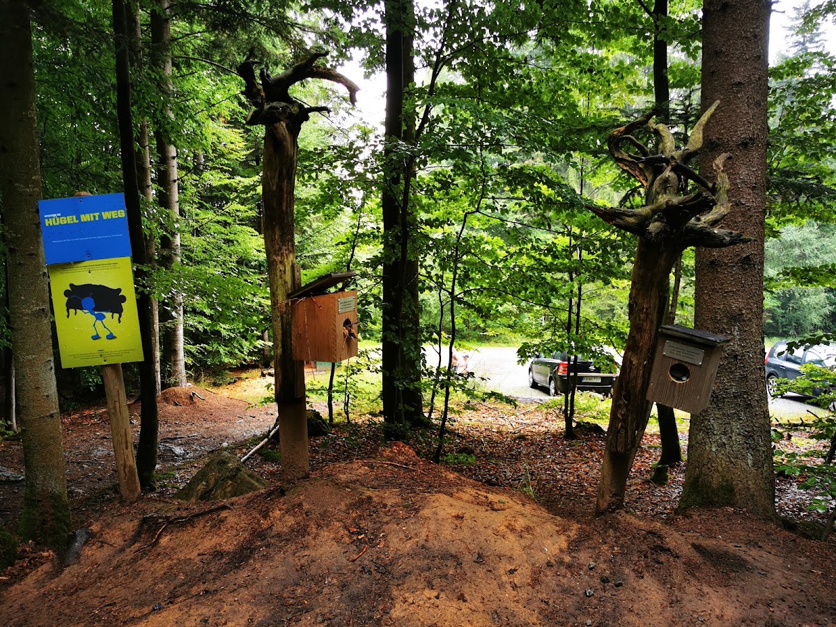 Ameisenstraße – Naturerlebnisweg Bodenmais