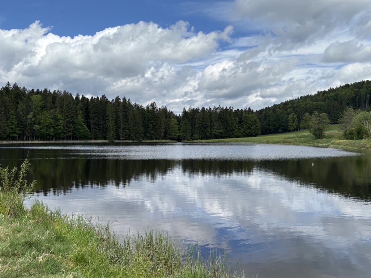 Angeln in Grafenau