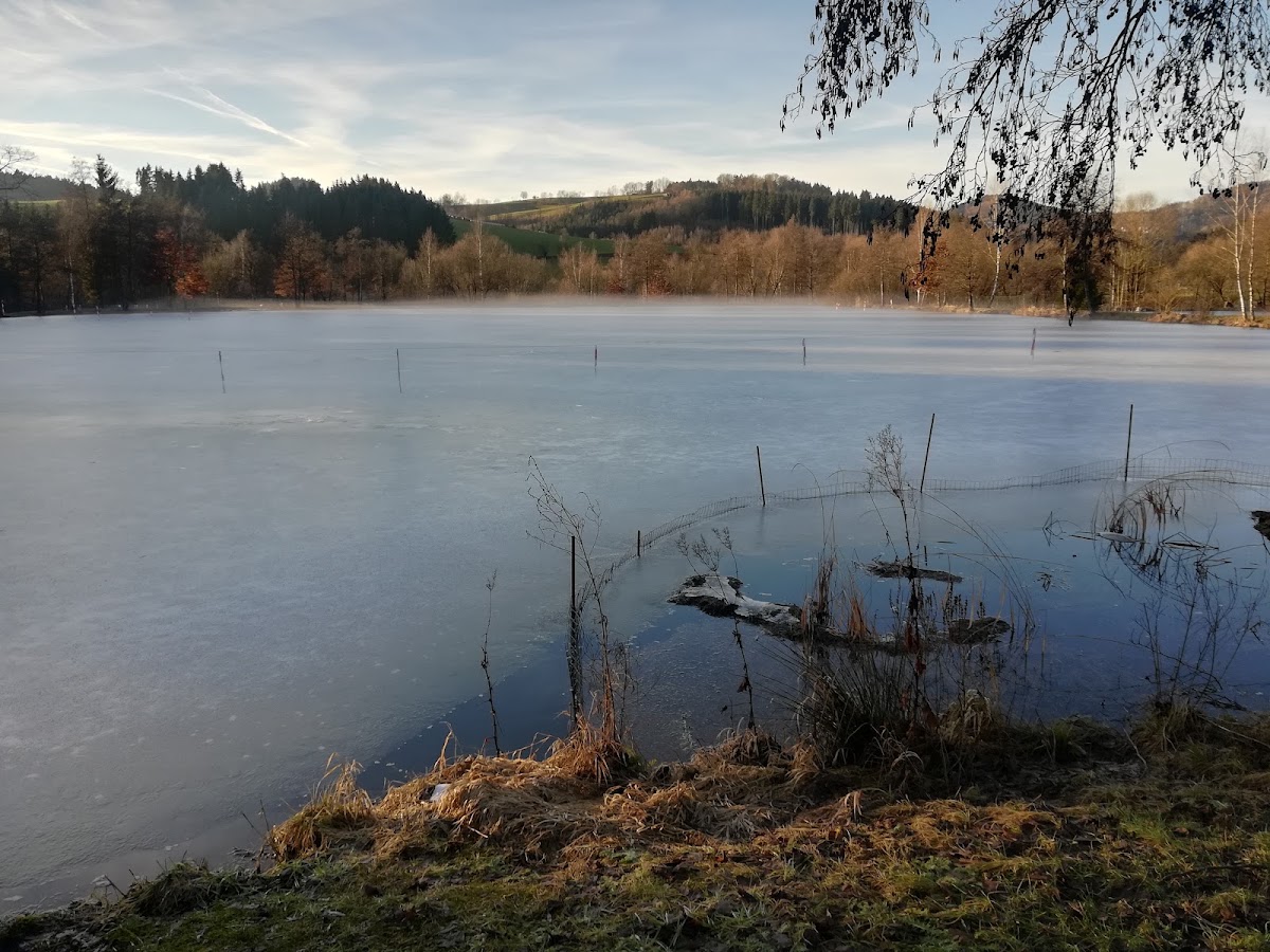 Angeln in Perlesreut