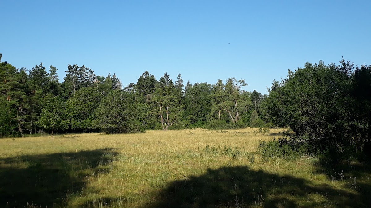 Arzberg bei Beilngries