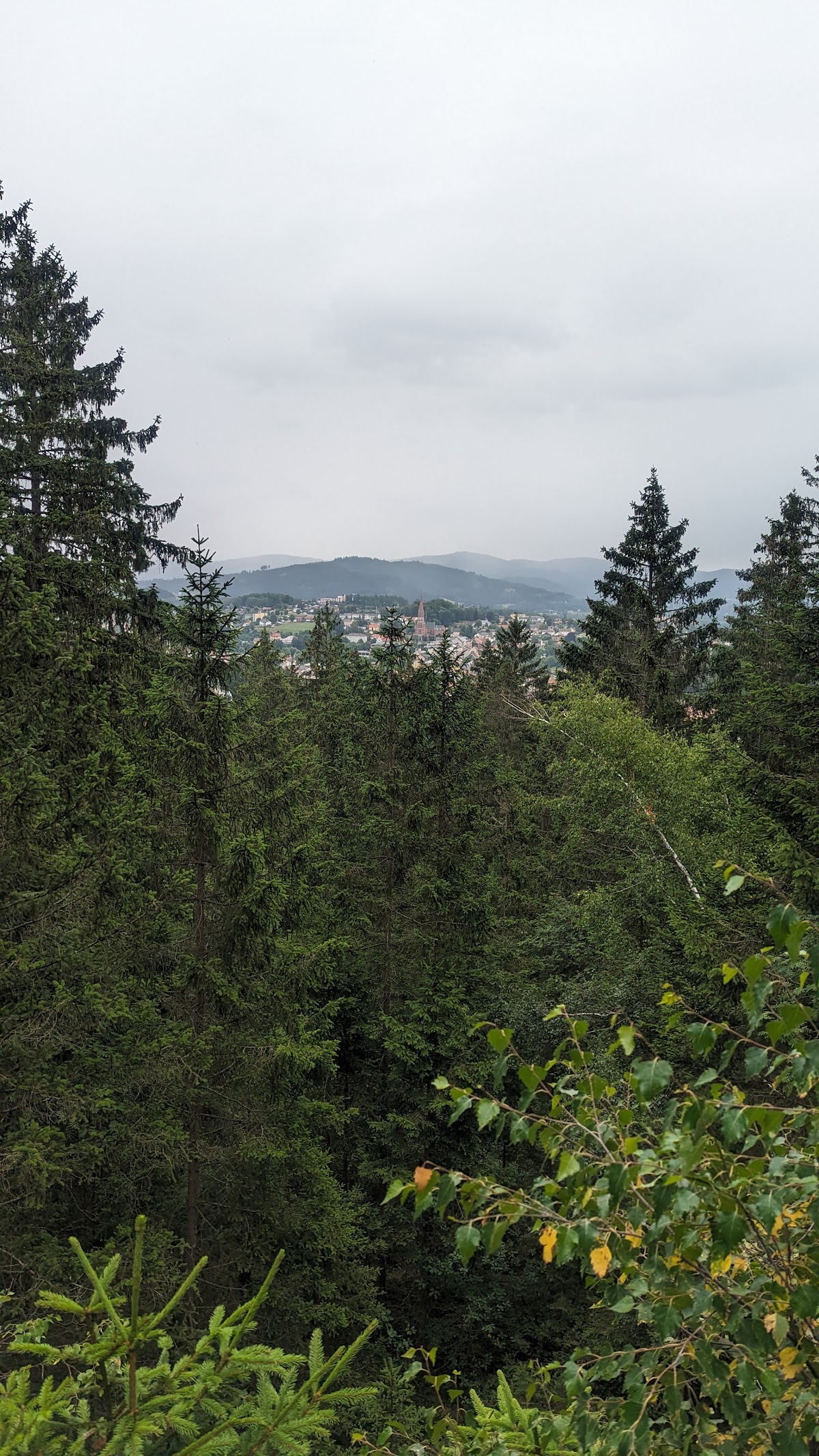 Aussichtsfelsen Neuberger Kreuz