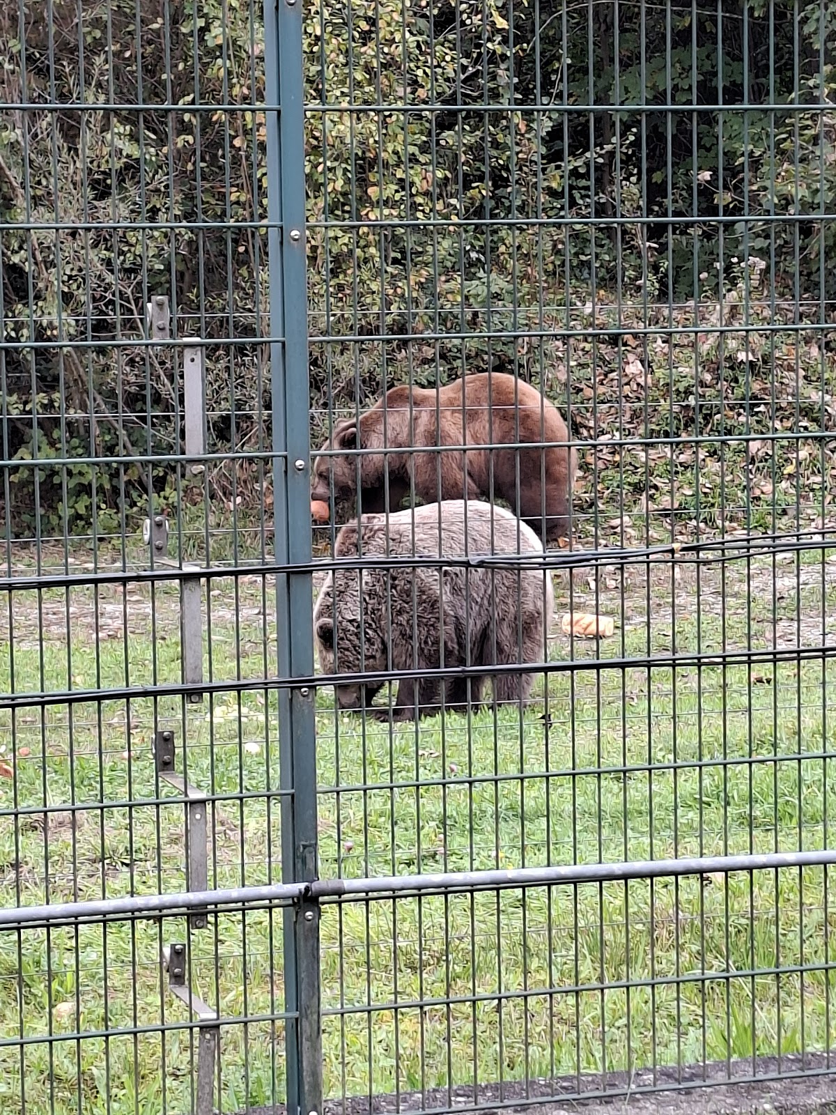 Bärenpark