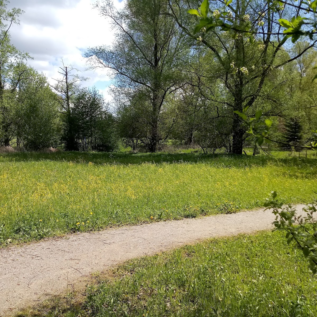 Bienenpark Neusäß