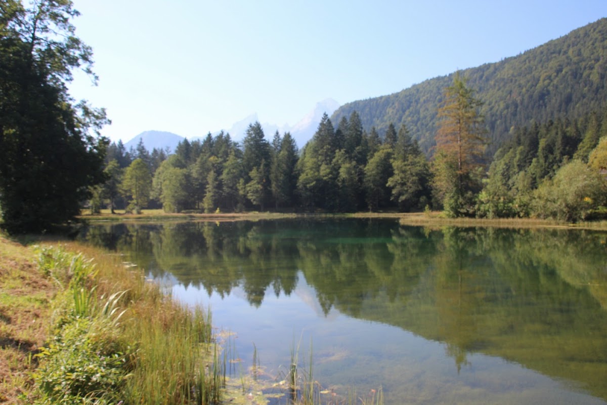 Böcklmoos und Böcklweiher