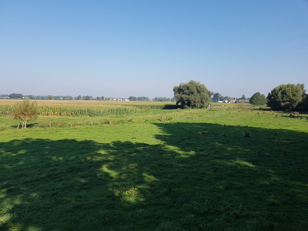 Brunnenwasser in Thierhaupten