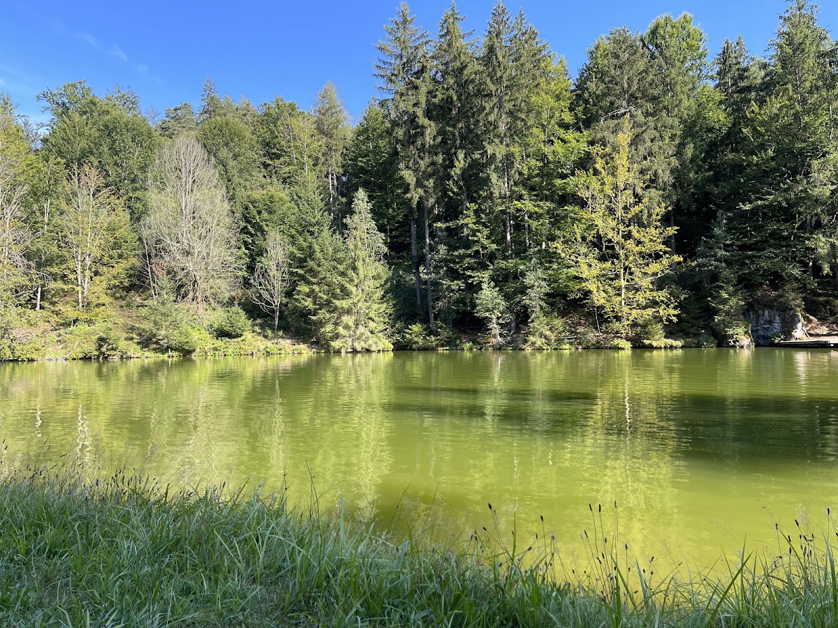 Buchwiesweiher