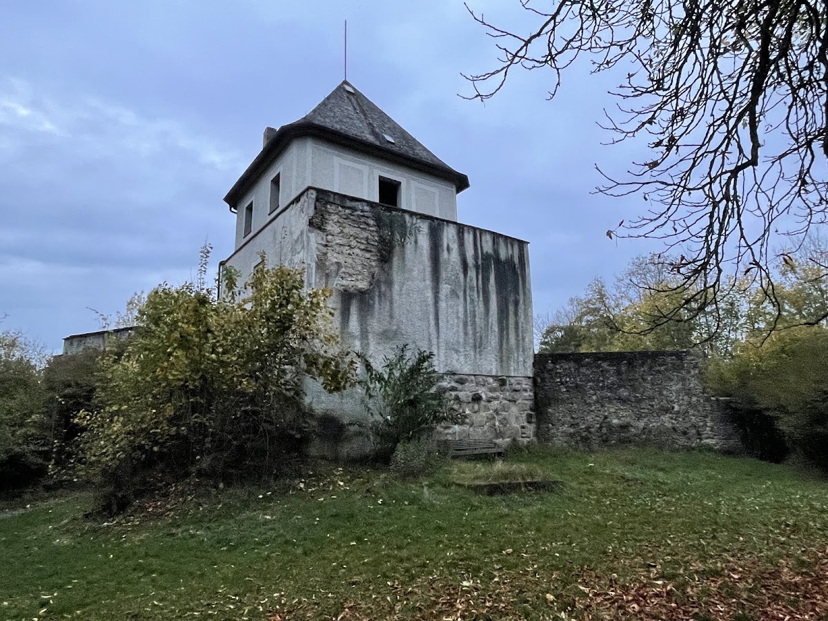 Burgruine Natternberg
