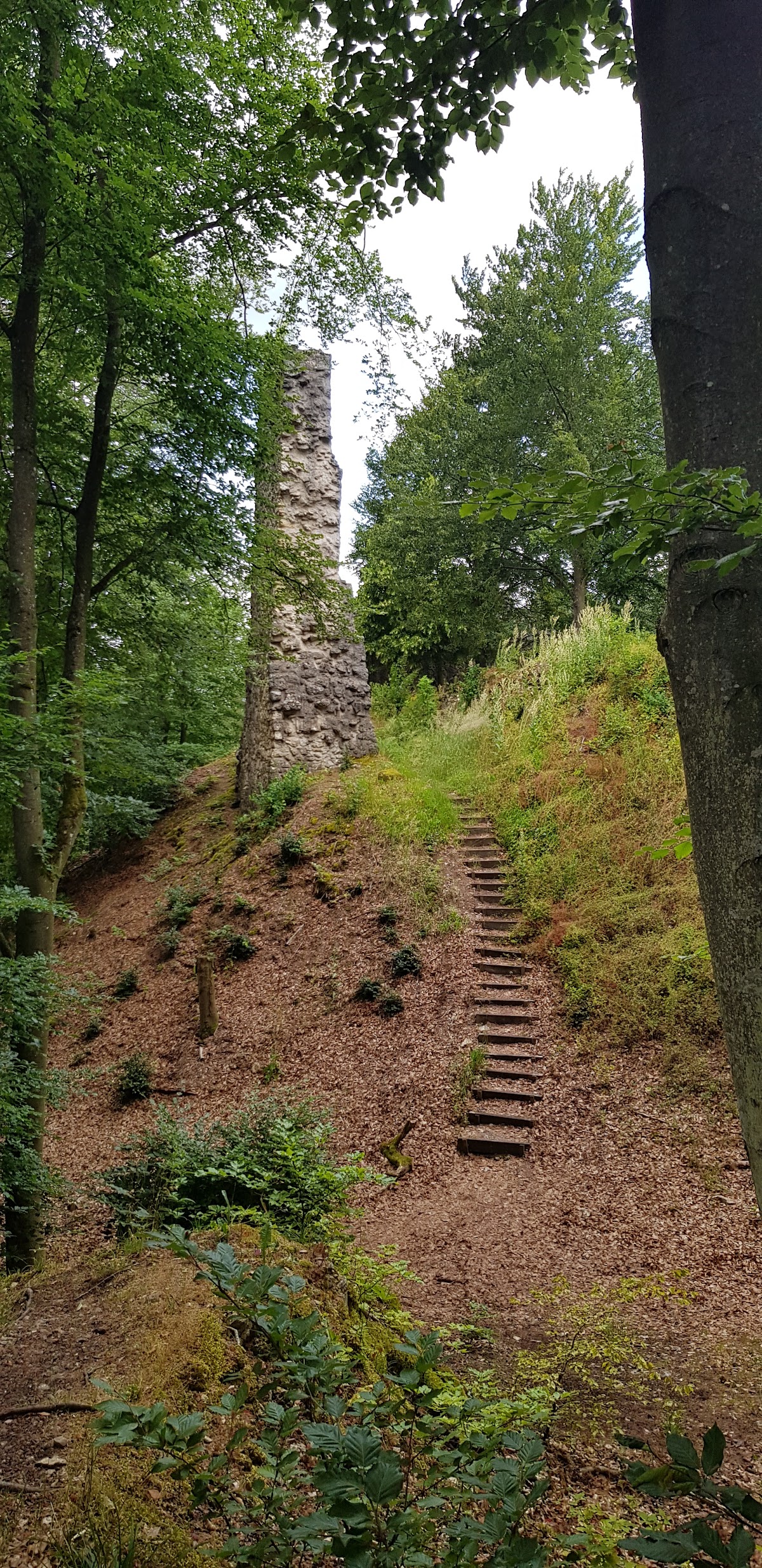 Burgruine Stossenberg (Rundeck) über Erlingshofen