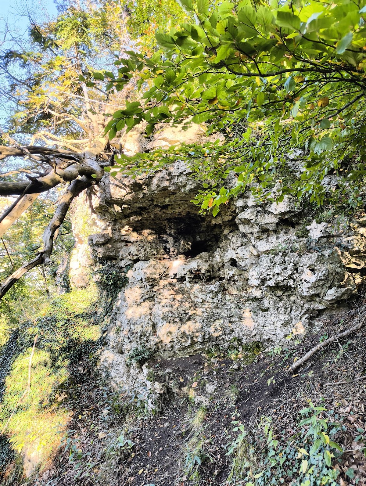 Burgstall „Wieseck“