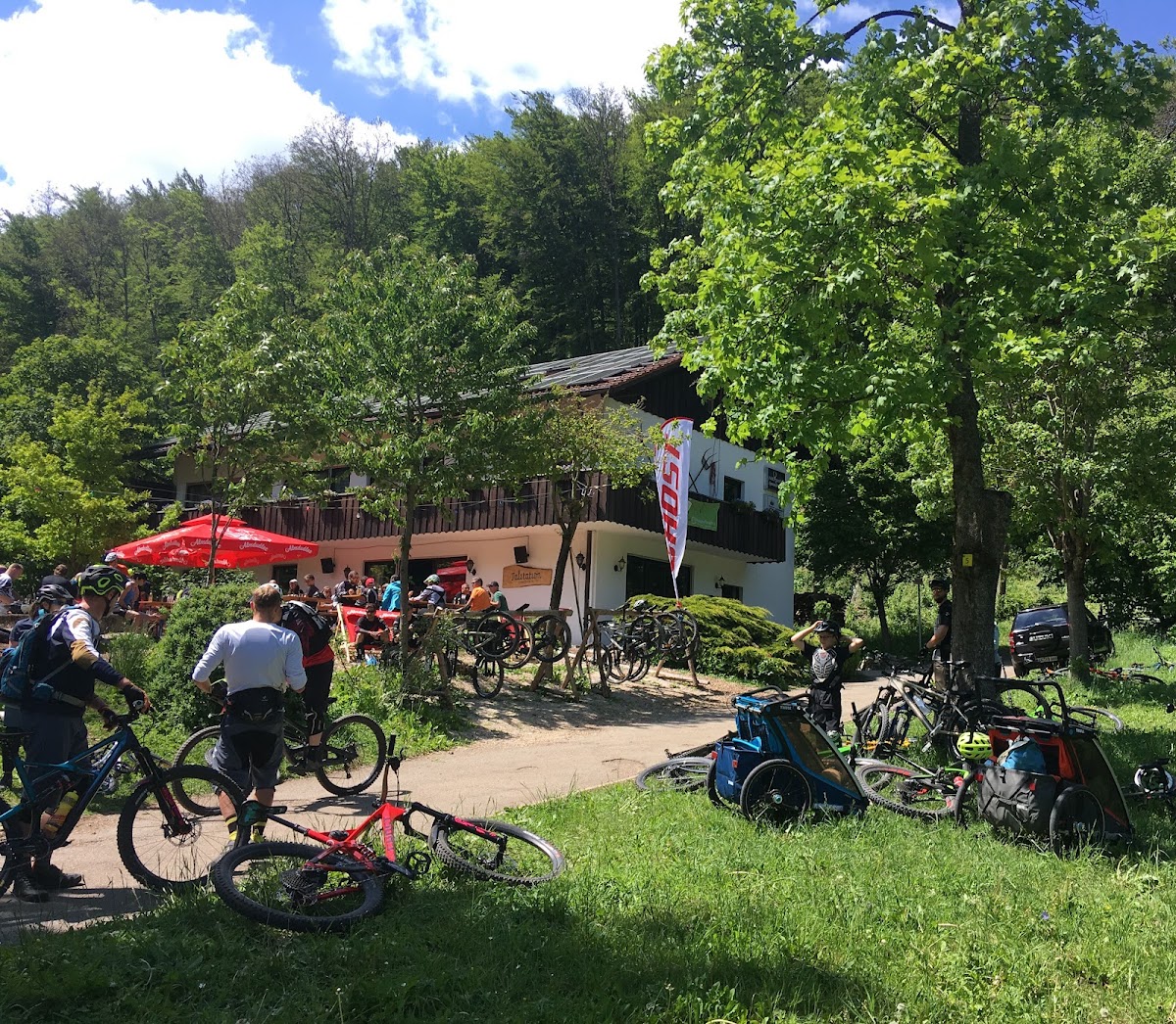 Damwildgehege im Heumöderntal
