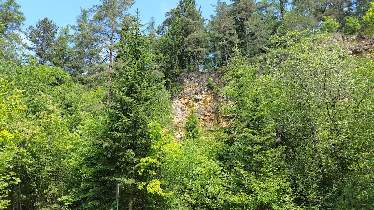 Demlinger Steinbruch (Königsbruch bei Demling)