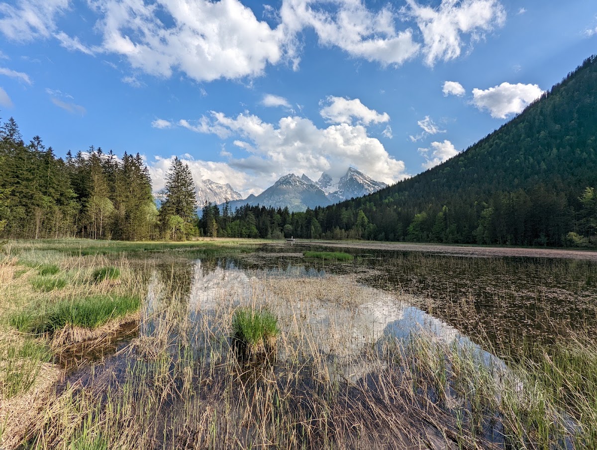 Der Taubensee
