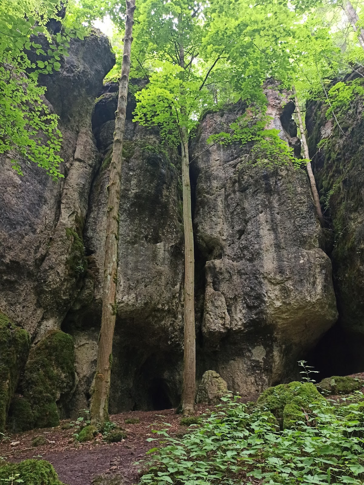 Doline und Felsenlabyrinth bei Wachenzell