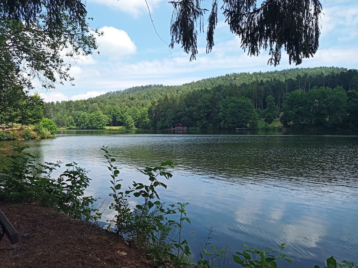 Dreiburgensee