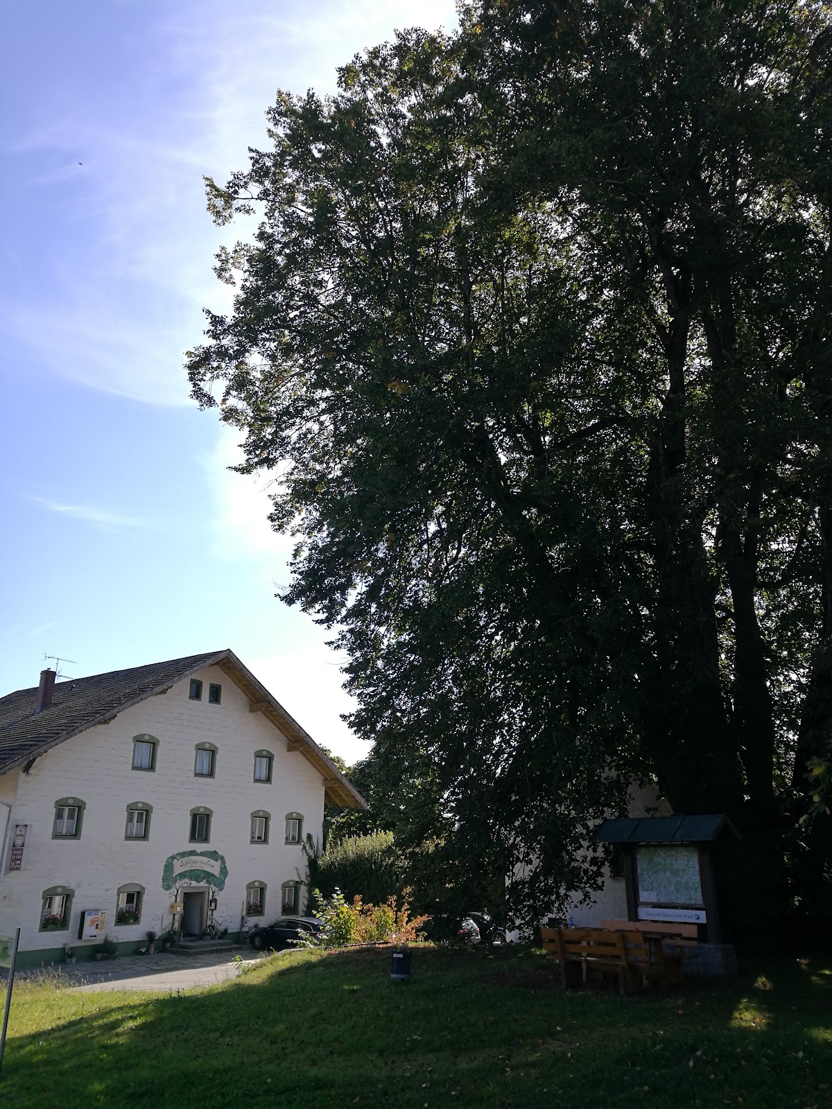 Euschertsfurther Linde