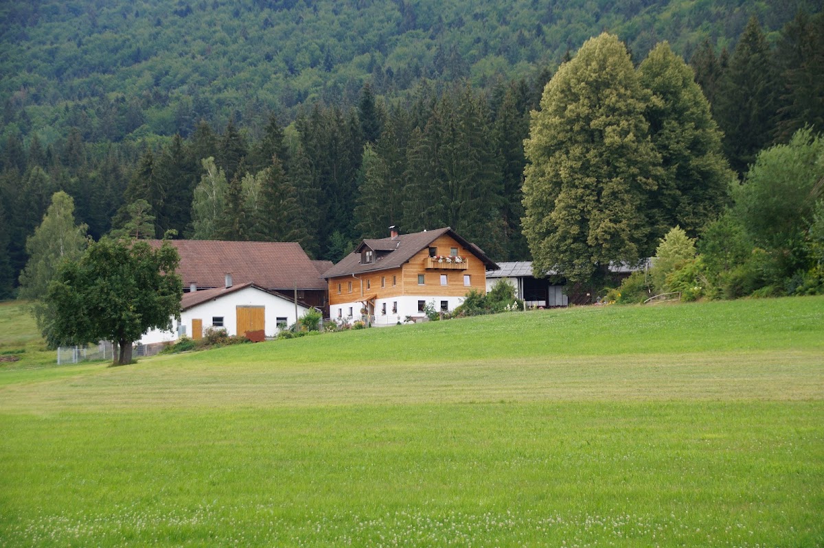 Ferienhof Pauli „das Familiennest“