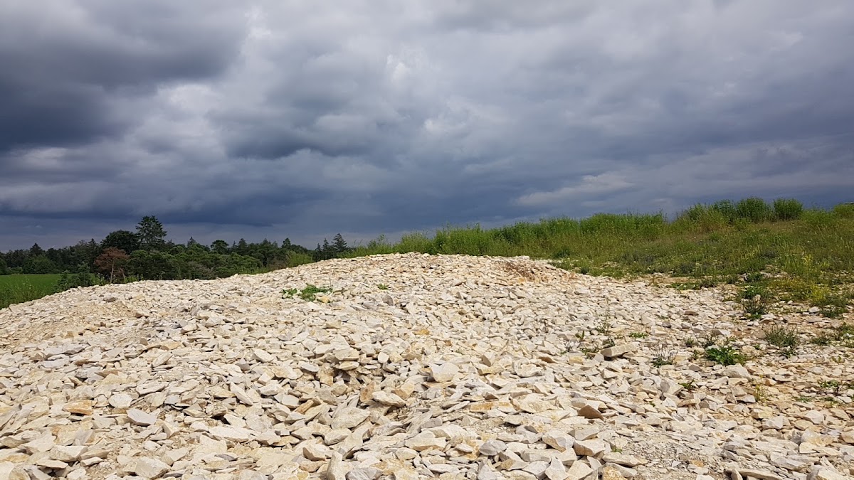Fossiliensammelstelle Titting