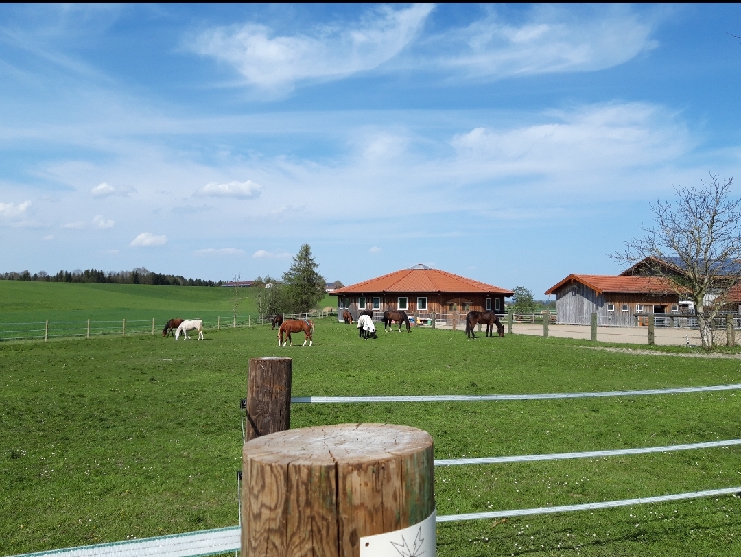 Garry´s Horse Stable