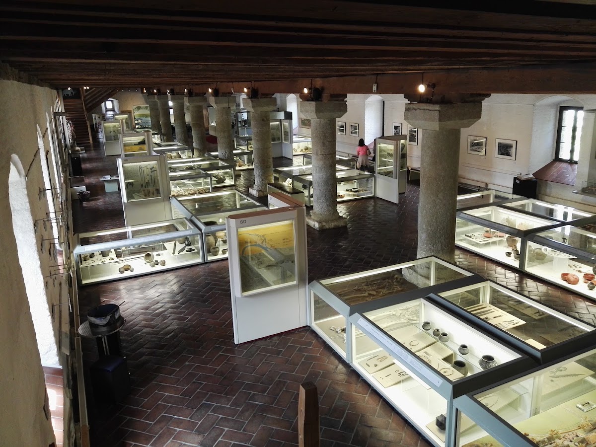 Garten des Archäologischen Museums