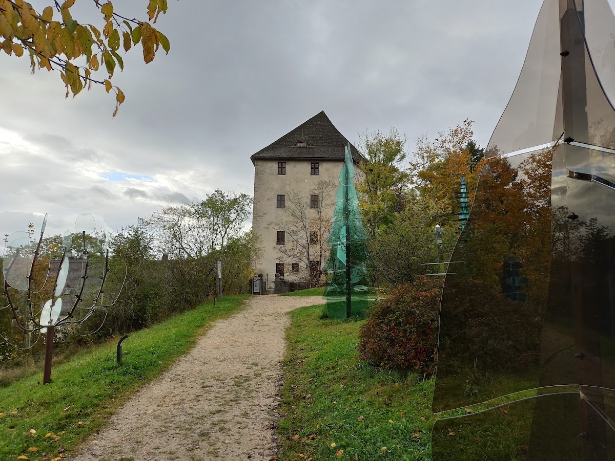 Gläserner Wald