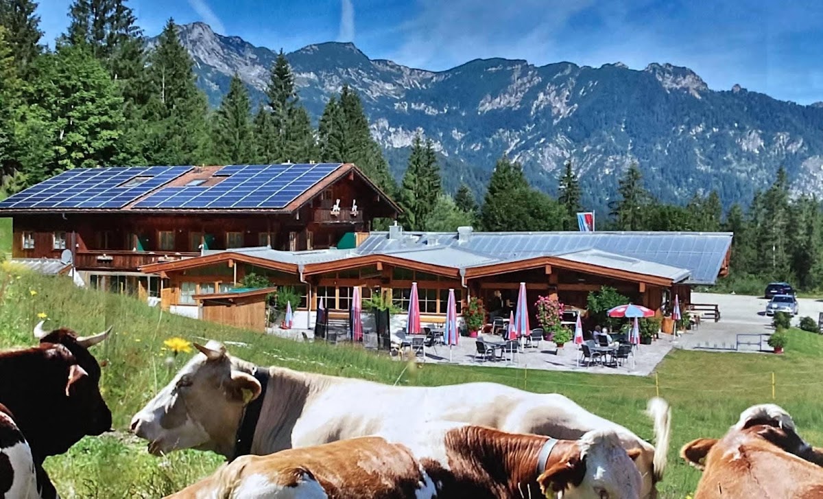 Götschenalm