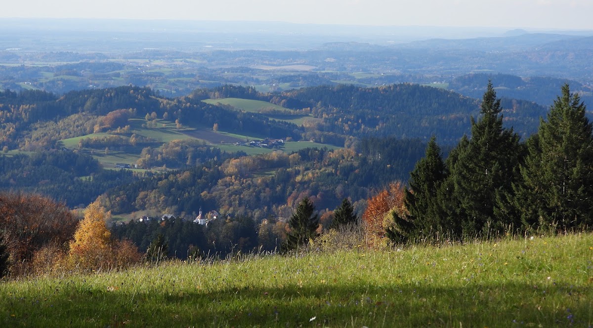 Hirschenstein-Loipe
