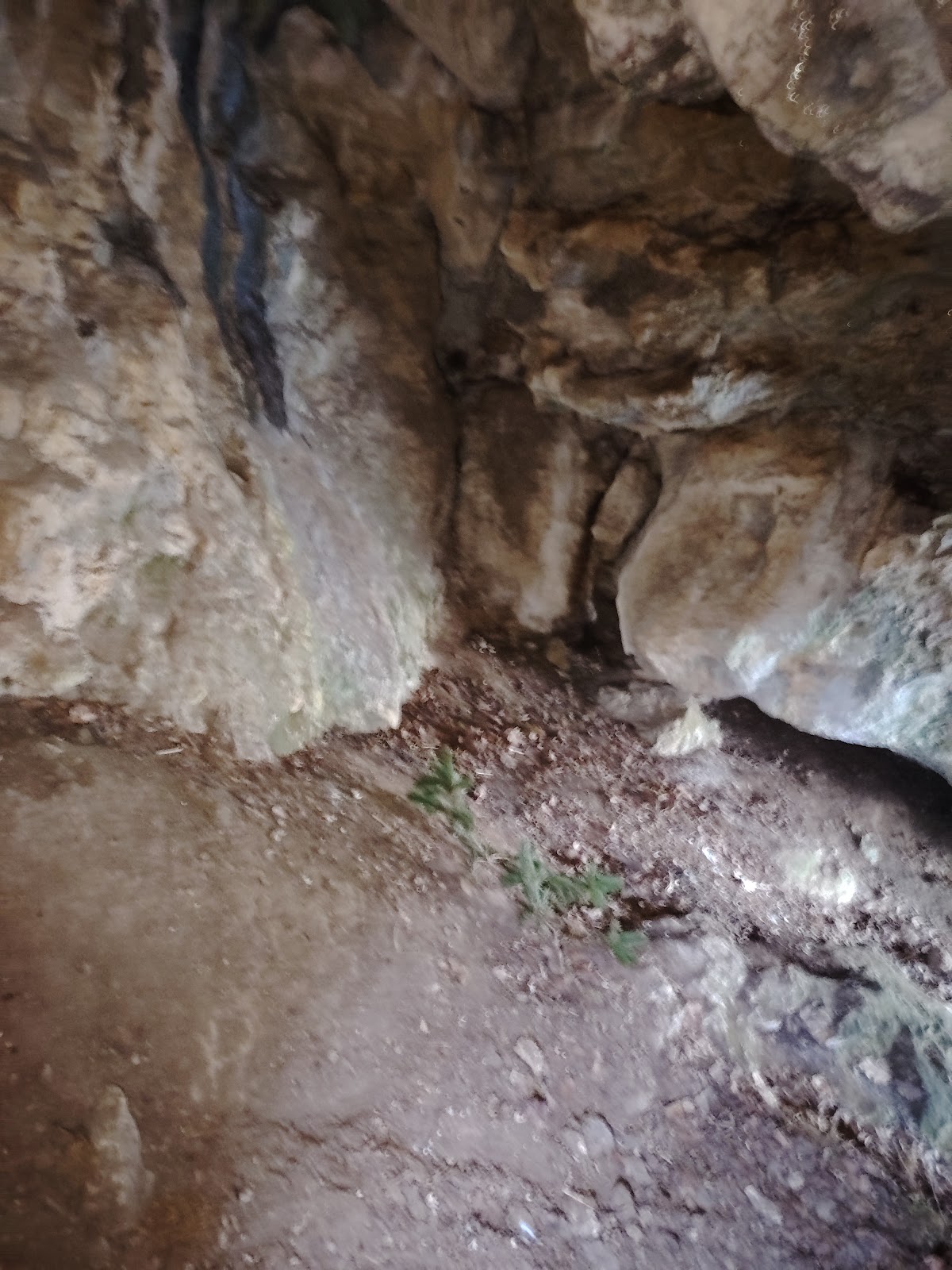 Höhle bei Aicha