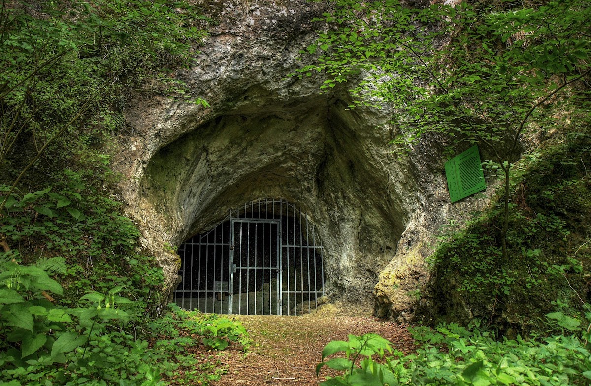 Hohler Stein (Höhle)