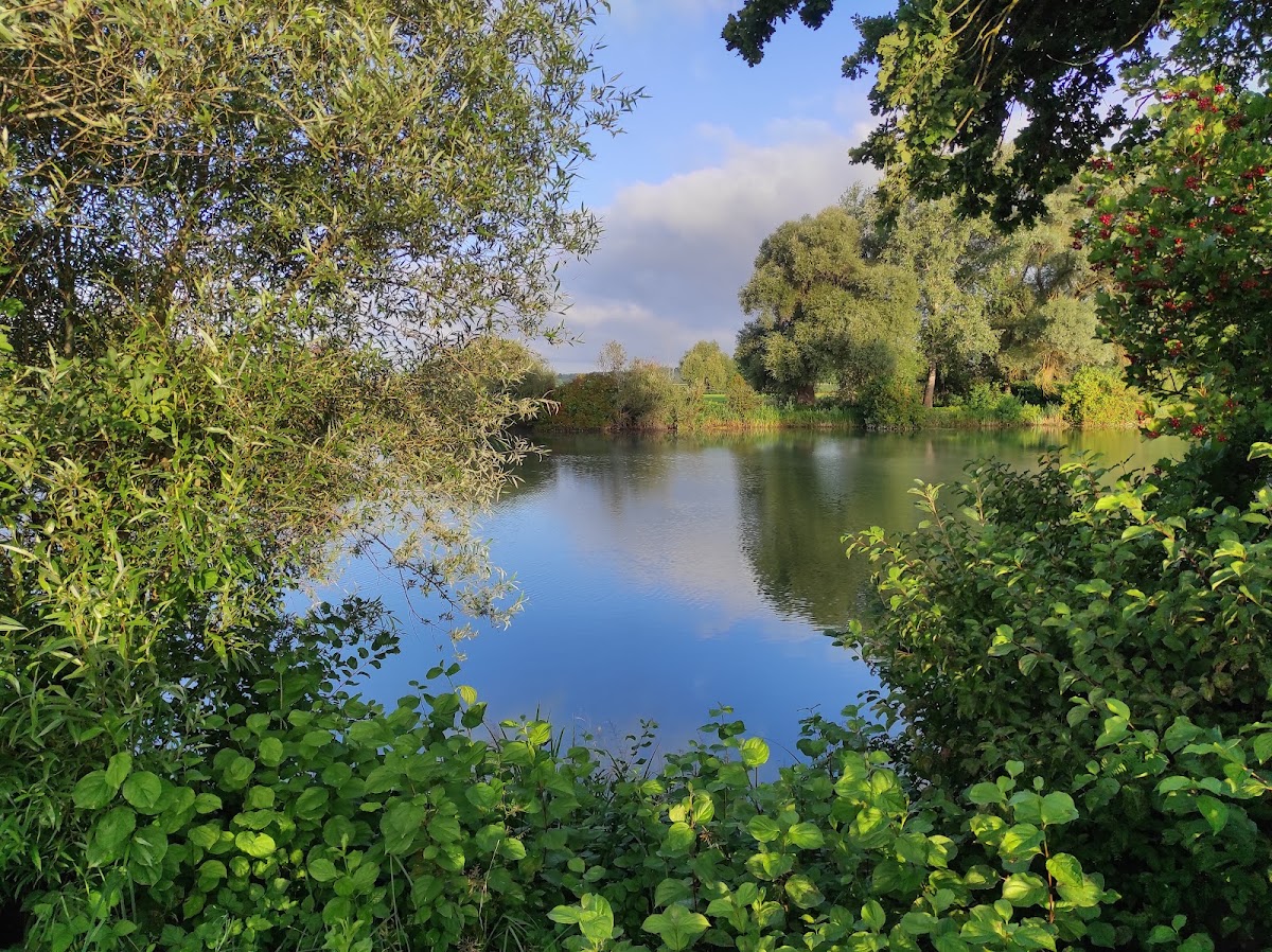 Joshofener Weiher