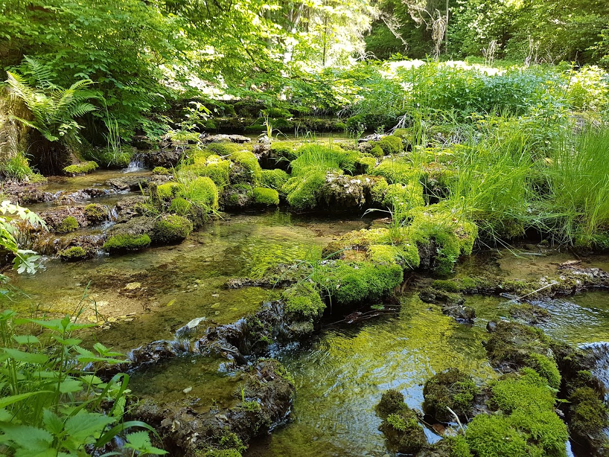 Kalksinterterrassen im Kaisinger Tal
