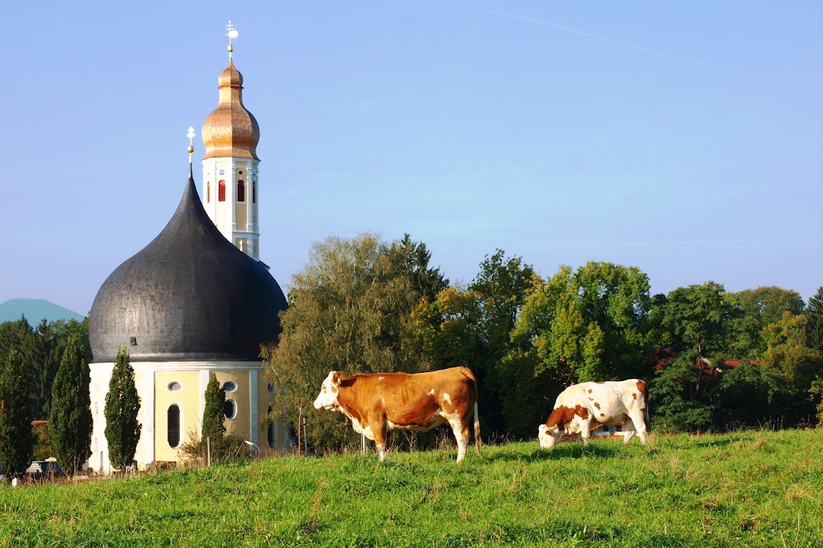 Kirche St. Johann Baptist Heilig Kreuz am Wasen