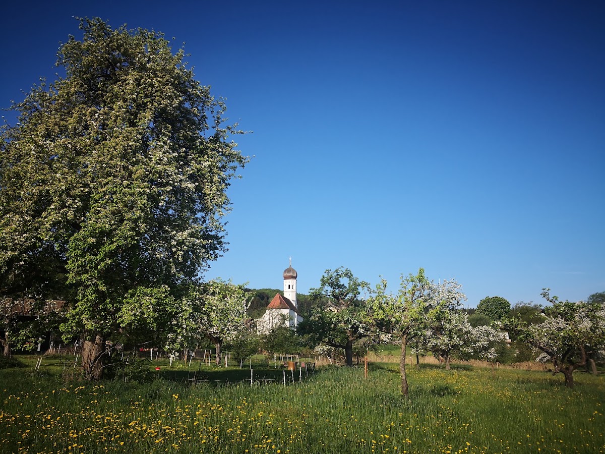 Kirche St. Martin in Holzolling