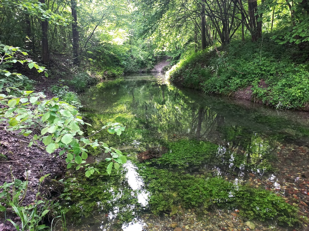Kneipp -Tretbecken