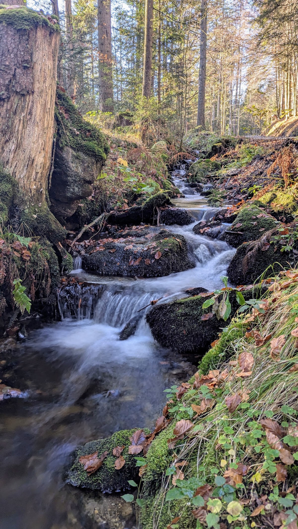 Kneippweg Rabenstein