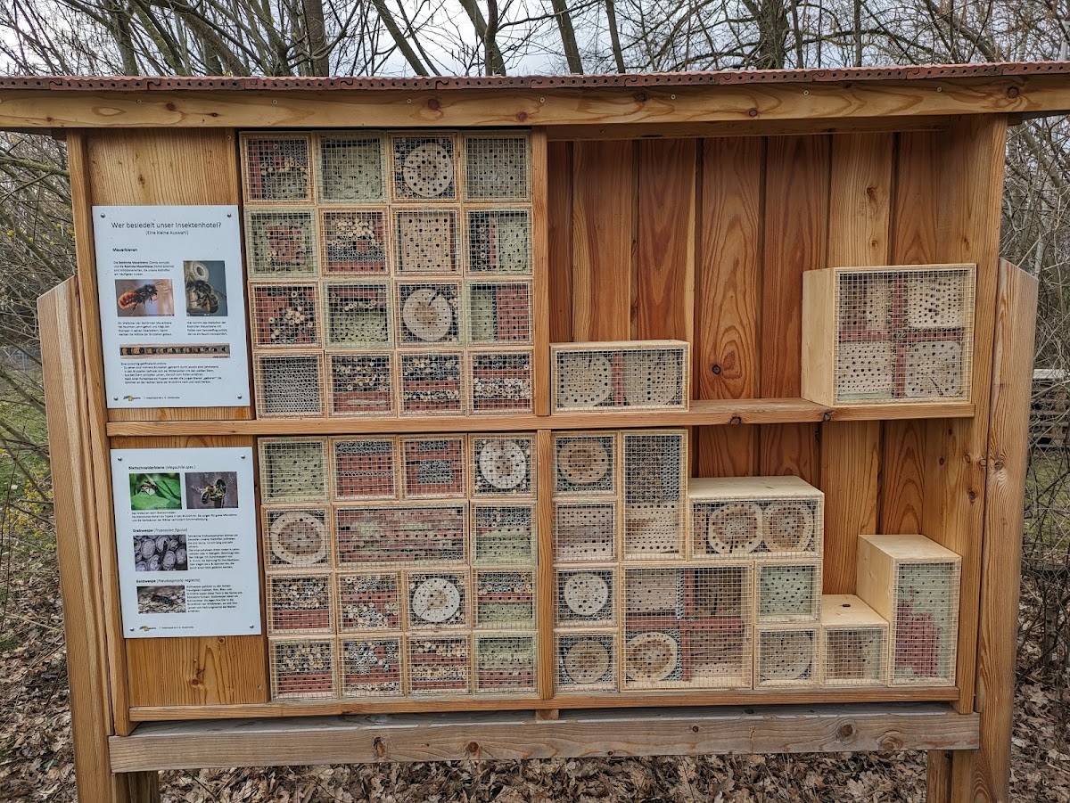 Lehrbienenstand Friedberg