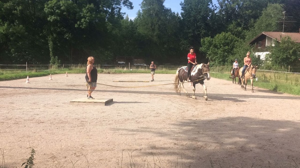Lucky Horse Ranch