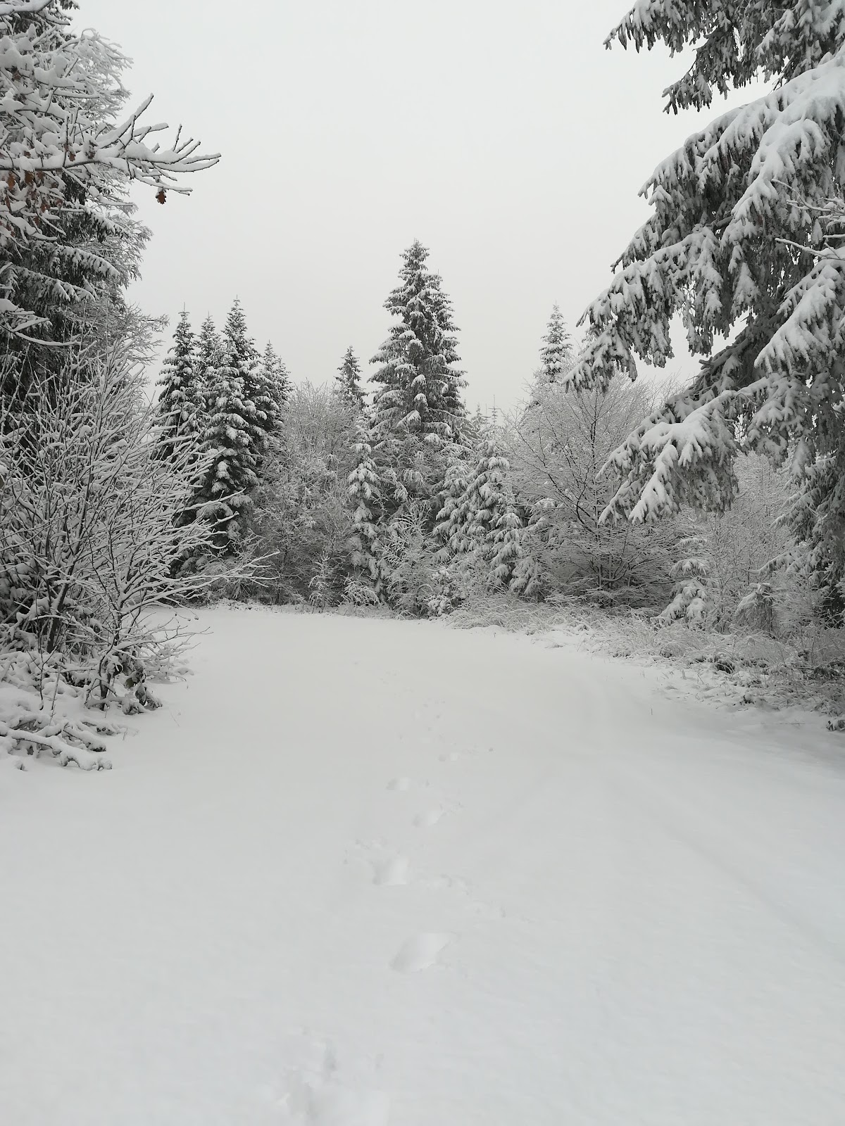 Nationalparkloipe
