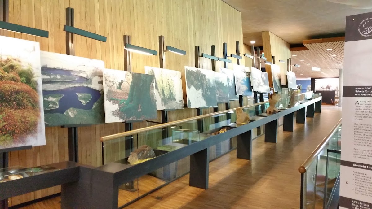 Nationalparkzentrum Falkenstein