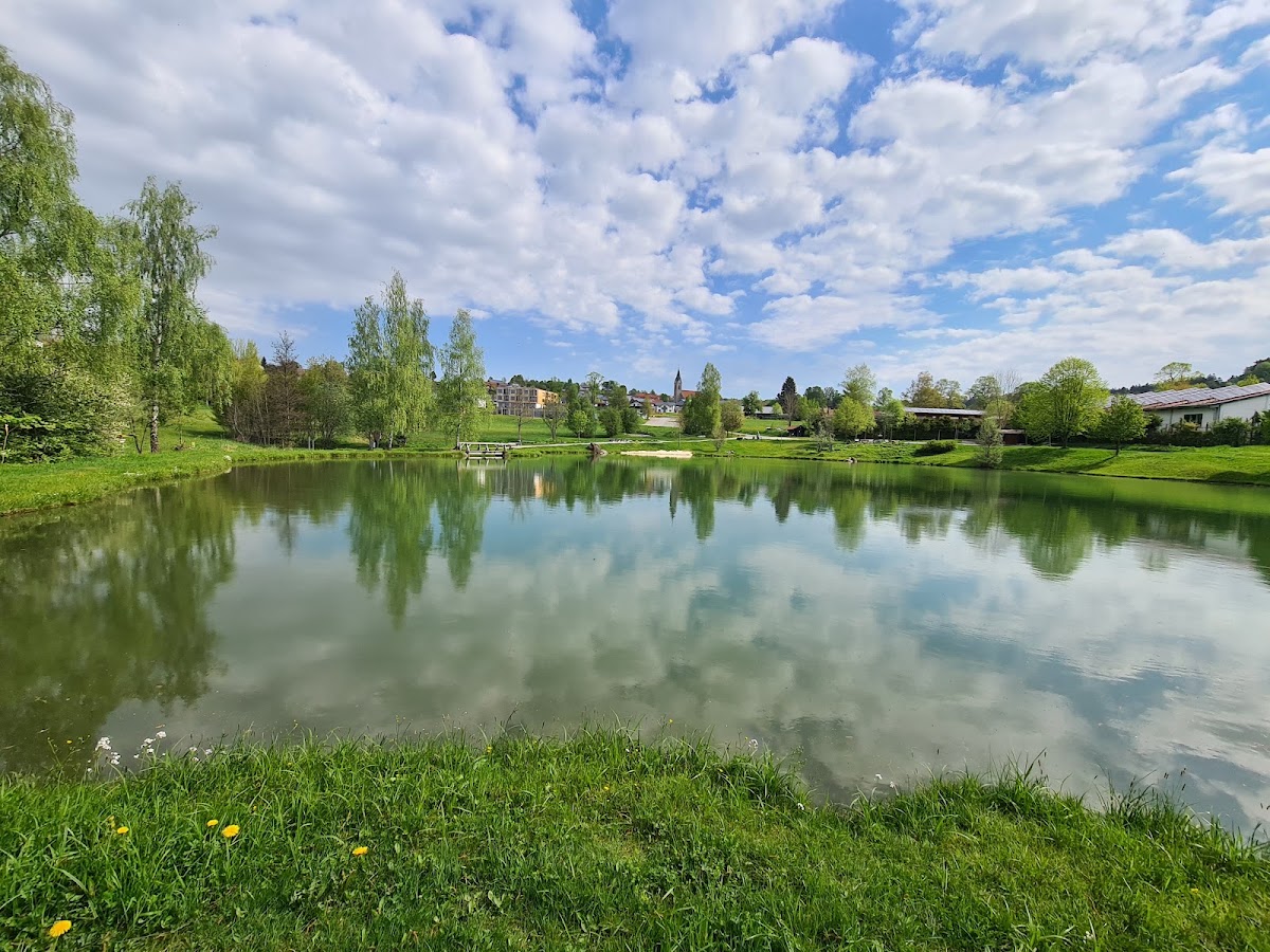 Naturbadeweiher in Neuschönau